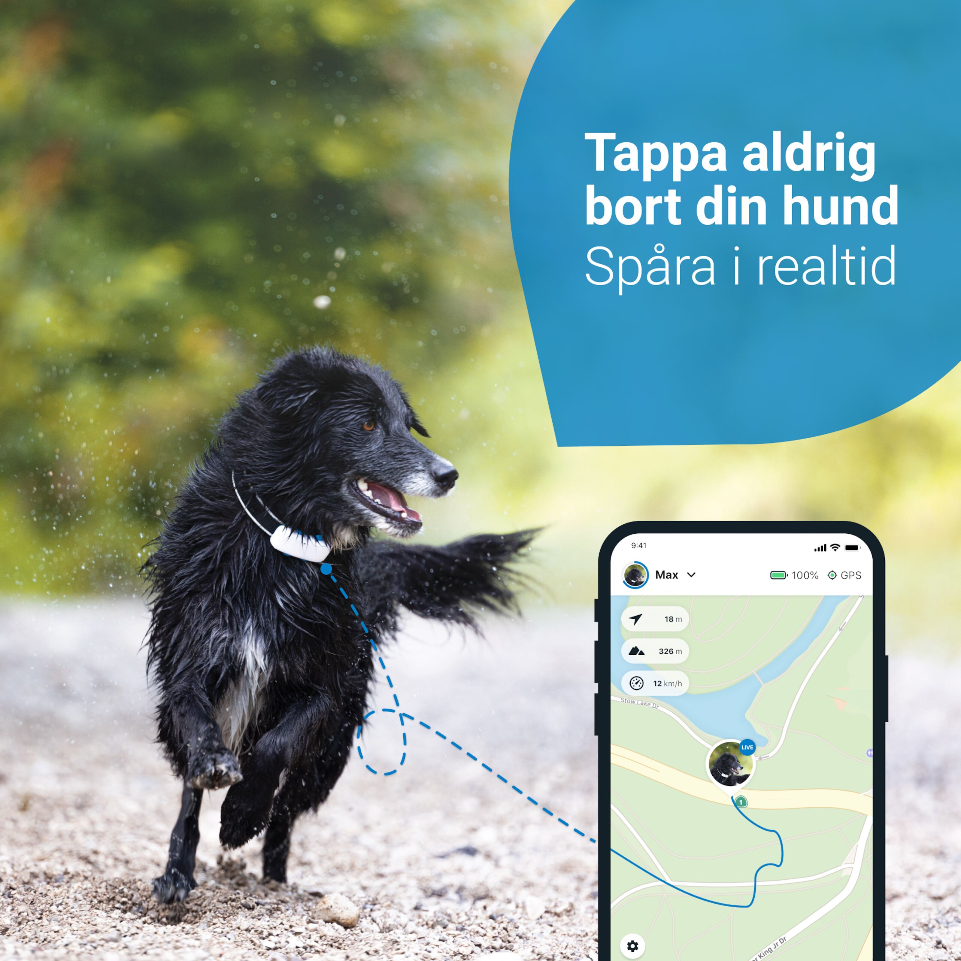 Tractive hot sale gps hund