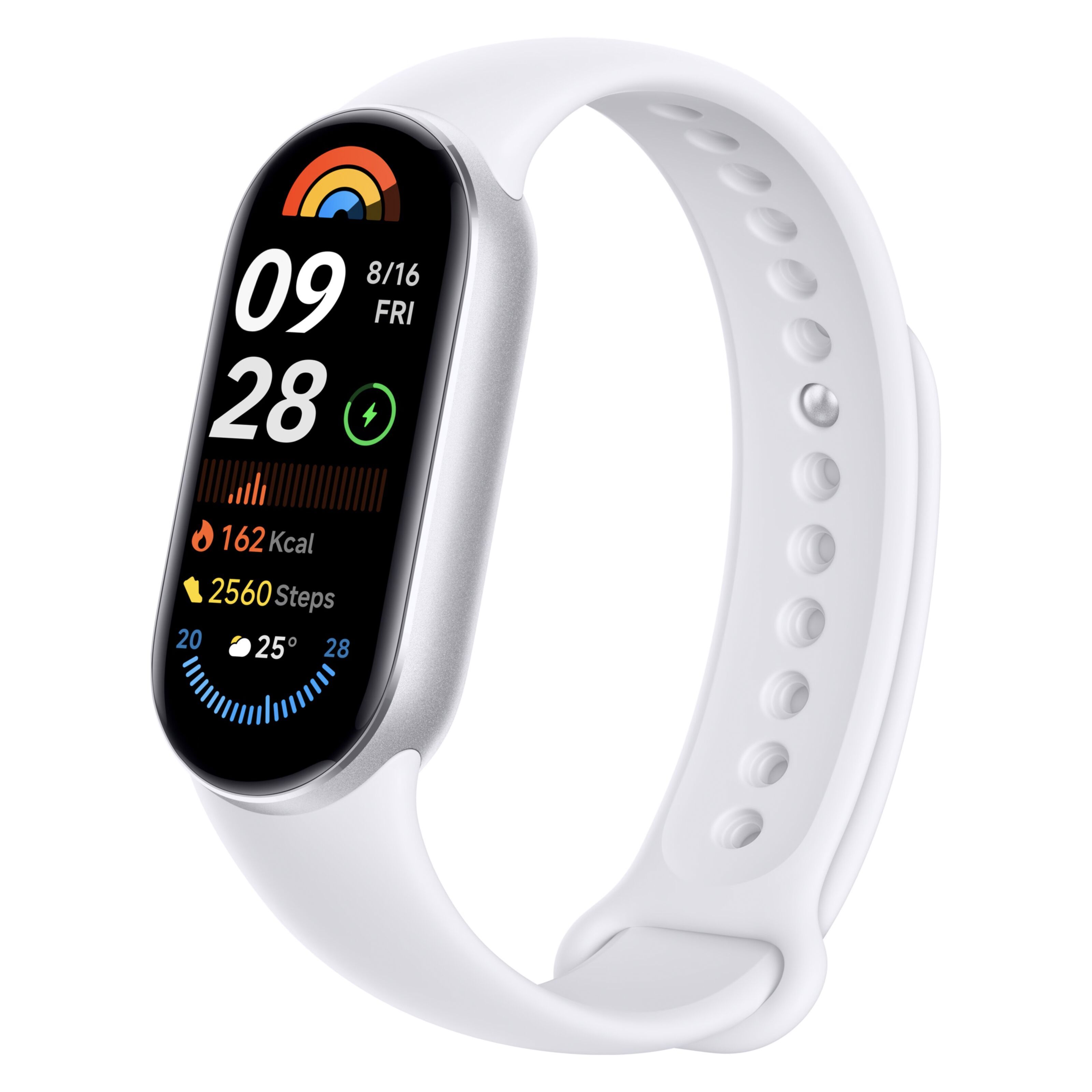 Xiaomi Mi Band 9 Silver